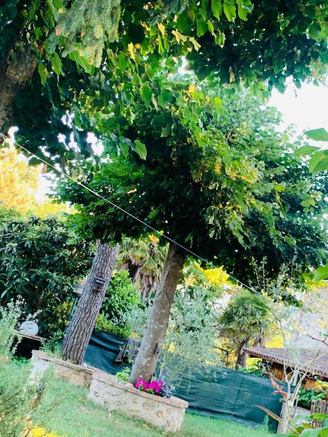 Bed & Breakfast La Maison