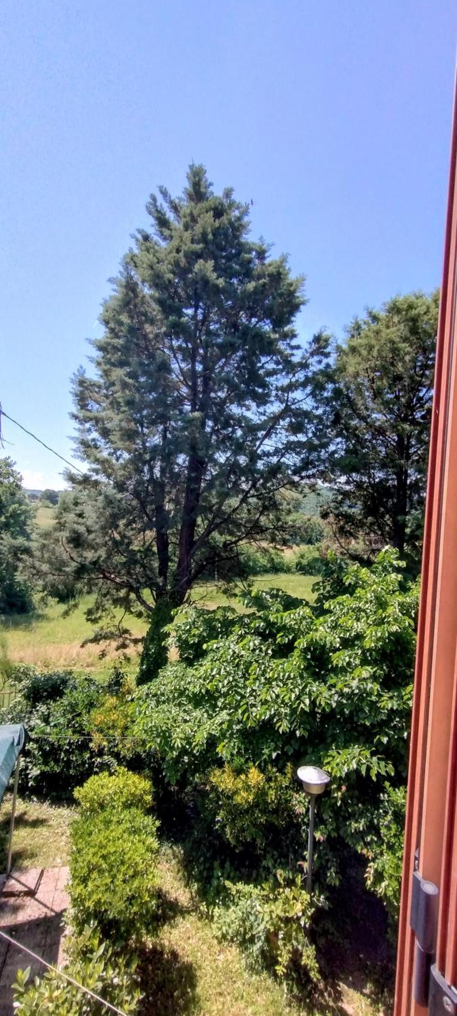 Bed & Breakfast La Maison Todi